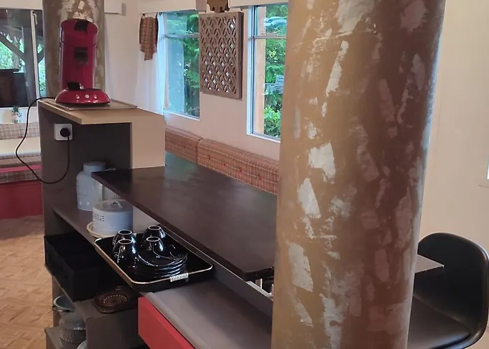 Domaine Le Lanis Le Refuge De Ambre Saint-Girons (Ariege)