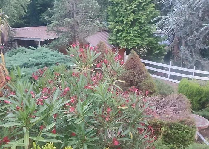 Domaine Le Lanis La Taniere De Ambre Σαλέ